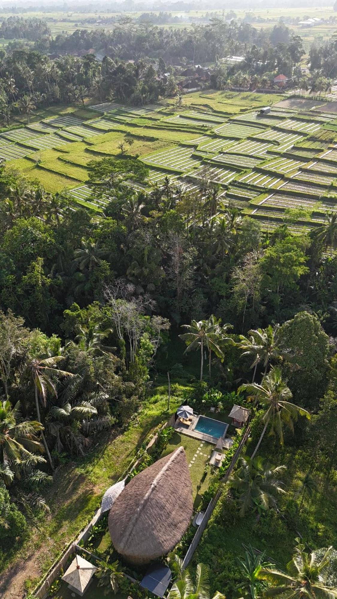 Pitu, A Punggul Village Escape Sangeh Dış mekan fotoğraf